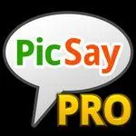 Picsay Pro Mod icon