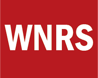 WNRS videogame icon