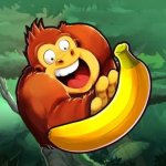 Banana Kong Modicon