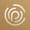 Protelion VPN icon