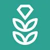 VPN Rice: Fast & Secure Proxy APK