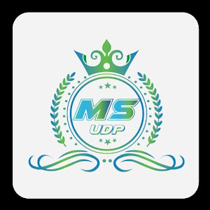 DUP MS Fast Vpn - MAX icon