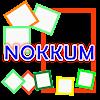 NOKKUM VPN icon