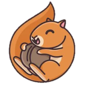 SQUIRREL VPN APK