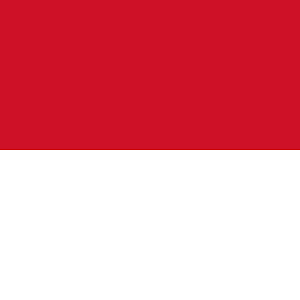 Indonesia VPN - for OpenVPN APK