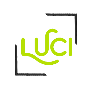 Luci VPN icon