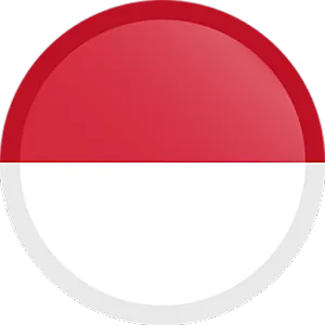 INDONESIA VPN - Proxy VPN APK