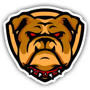 TunnelDog VPN APK