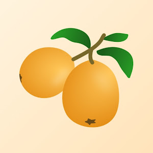 Loquat VPNicon