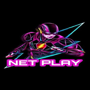 NETPLAY VPN icon