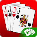 Euchre 3D icon