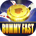 Rummy Fast icon