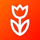 Flowwow: flowers, gifts, cakes APK