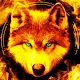 Fire Wallpaper Theme Lone Wolf APK