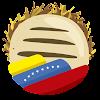 ArepaVPN - Venezuela VPN Proxy icon