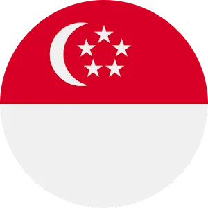 Singapore VPN - Unlimited VPN APK