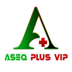 ASEQ PLUS VPN APK