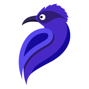 Bluebird VPN - Safer Interneticon