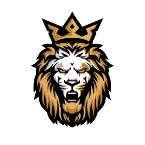 KingFast VPN icon