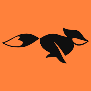 FastFox VPN icon