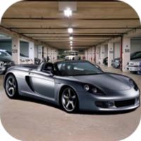 Fast Car Parkingicon