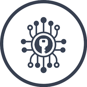 VPN Flashicon