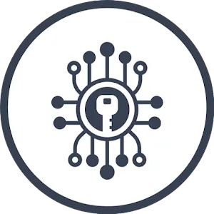 VPN Flash APK