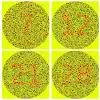 Color Blindness Test App APK