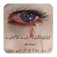 Dukhi Shayari-Urdu Lines APK