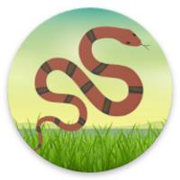 Indian Snakes APK