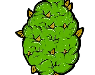 Robin Bud icon