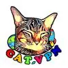 CAT VPN-Proxy icon