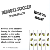 Beebuzz Soccer APK