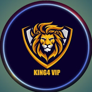 King4 vip Vpnicon