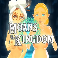 Zelda : Moans of the kingdomicon
