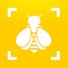 Bumble Bee Watch icon