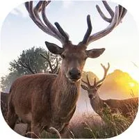 WiFi Hunting Camera icon