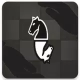 TeamChess icon