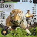 Wild Cheetah Offline Sim Game icon