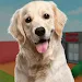 Animal Shelter Dog Rescue Game icon