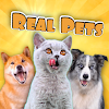 CatDog Games: Pet Simulator icon