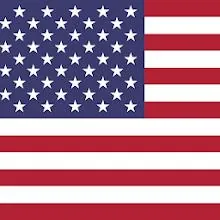 United States Constitution icon