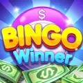 Bingo Winner Real Money APK
