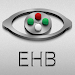 Eye Handbookicon