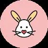 Friendly Bunny VPN icon