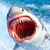 Angry Shark Attack Game APK