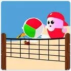 Volleyball Volleybeans icon