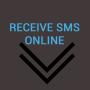 Receive SMS Online icon