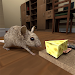 Stray Mouse Simulator icon