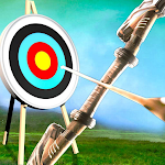 Archery Evolution Run icon